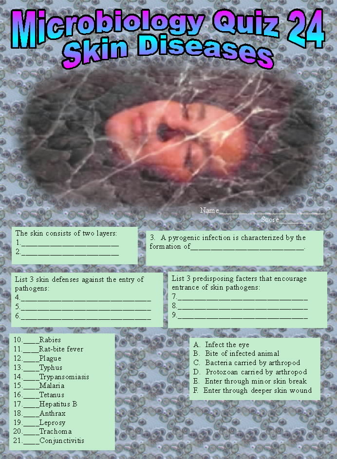 skinx.jpg