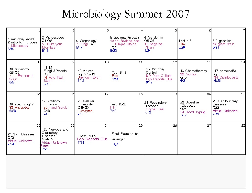 summer2007.jpg